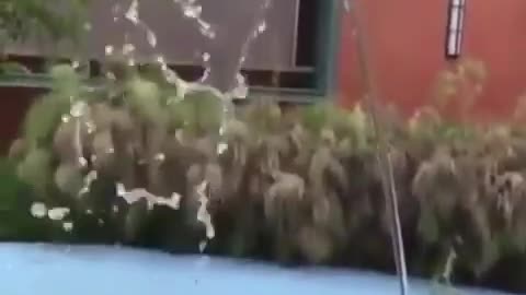 Amazing playing with balloon and water