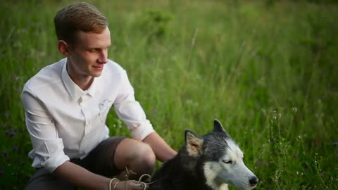 Man and dog Siberian huskies concept. Asian young man with his dog on meadow