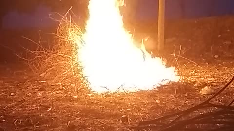 Fire in evening time