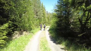 WALKTHROUGH BEAUTIFUL FOREST AND BY THE LAKE #Norway 4k VIDEO - No Talking - No Music - PART 1