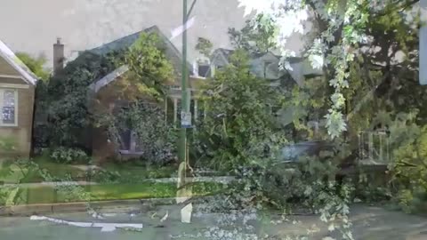 Chicago crews tend to 'hundreds' of tree emergency calls after Sunday violent storms | WGN News