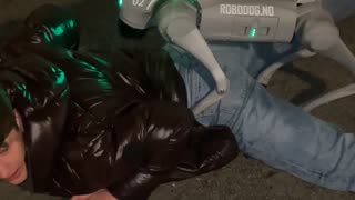 Guy Gets Humped by a Robot Dog