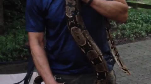 Me,Ben, w/ “Sam”, the Boa Constrictor I gave my Brother 24 years ago, 1997.In MI 7/25/18