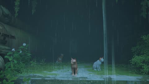 30 Minutes Of Rain And Thunderstorm Ambience In Stray |The Wall|