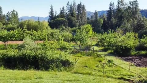 The Water Wizard of Oregon - This Farm Cracked the Code