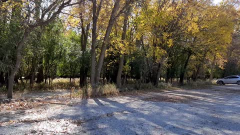 Dog Park, Country Club Estates, Dakota Dunes