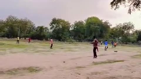 Local cricket