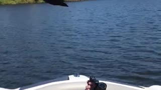 Goose flies directly above boat on lake
