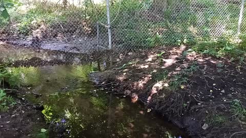 St. Michael Cemetery Brook