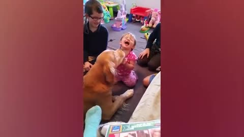 cute babies playing with dogs
