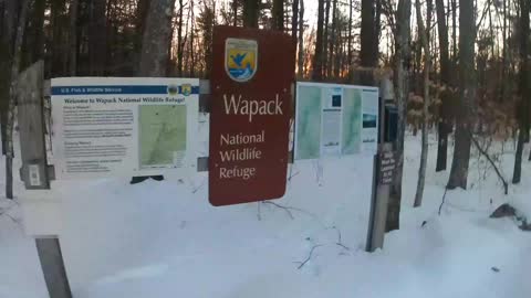 [UpNorth] Wapack -North Pack Descent to Northern Terminus