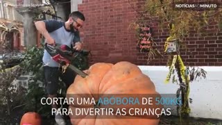 Pai corta abóbora de 500kg para crianças brincarem dentro