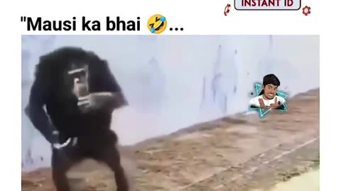 Mausi ka bhai🤣🤣