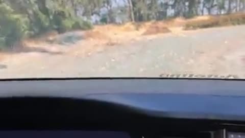 Tesla, FSD is able to navigate on a dirt road.