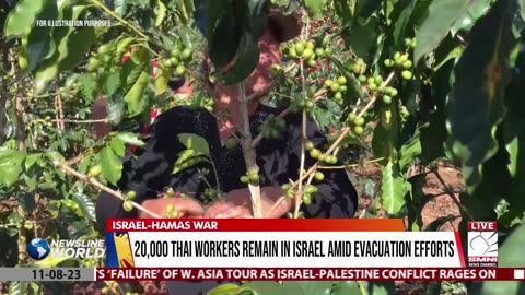 20,000 Thai workers remain in Israel amid evacuation efforts