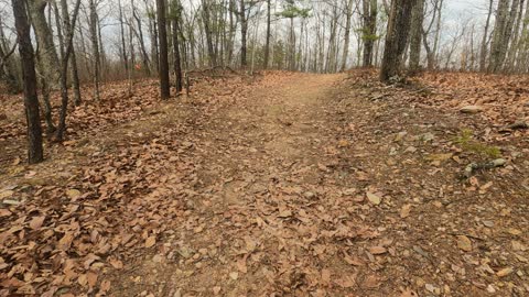 An interview with a Liberty University Student while hiking the Raptor Trail on Liberty Mountain