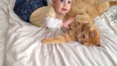 cat love to play with toddler :)))