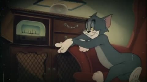 Night Vibes || Relaxing Tom listening to radio | Tom and jerry