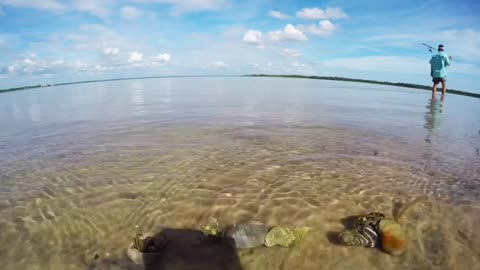 Fight of the Hermit Crabs | GoPro HERO4 Silver Time Lapse