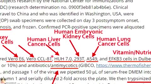 The CDC used simulated reality that birthed the Fauci19 lie