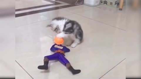 Cat Playing with Robot Toy
