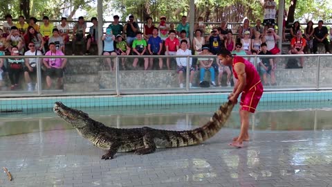 People at extreme crocodile show in Pattaya, Thailand