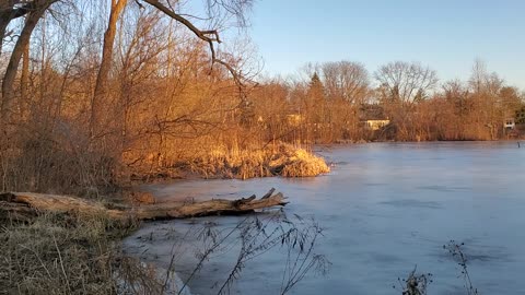 Neighborhood Pond at Sunset