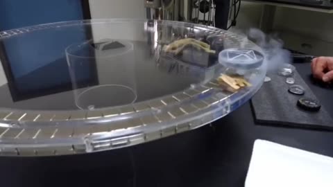 Liquid Mercury used as superconductor to levitate.