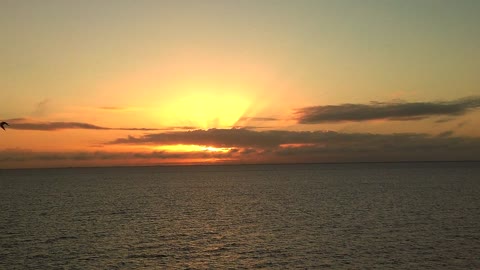 Sunrise St Petersburg Florida from New Pier