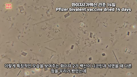 니코틴과 백신 혼합결과 2