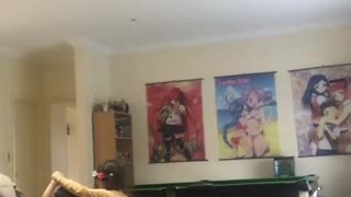 2 little girls try to dance together