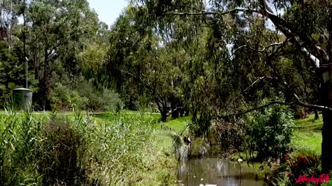 Yarra Bike Trail Victoria Australia