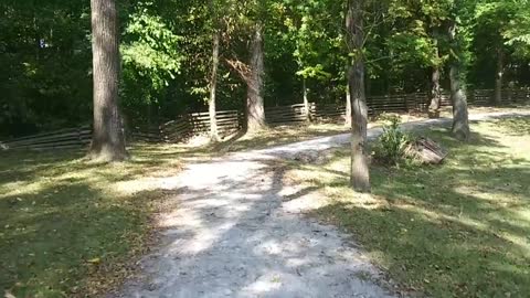 Virtual Walking Trail Sounds POV RELAX Nature Watch on Treadmill Path Pond Bridge Crunching Noise