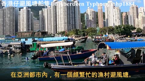 香港仔避風塘船隻 06 Aberdeen Typhoon Shelter Vessels, mhp1884, Nov 2021 #漁村避風塘 #香港仔街渡碼頭 #kaito