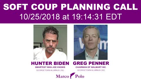 Hunter Biden AUDIO w/Wal-Mart CEO Greg Penner - SOFT COUP PLANNING CALL