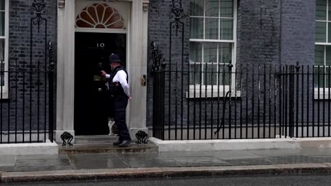 Downing Street cat Larry unfazed by UK election earthquake