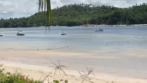 Praia dos carneiros