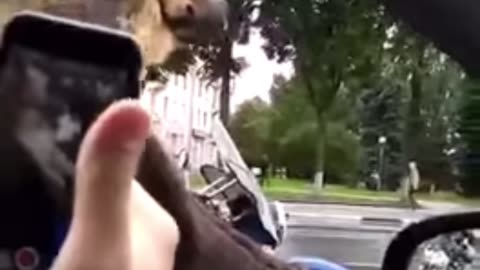 Only in Russia. Bear Rides Shotgun