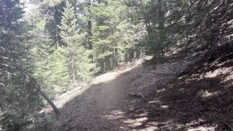 Silently Enjoying the Transition Section from Ridgeline Back to Forest – Black Butte Trail – 4K