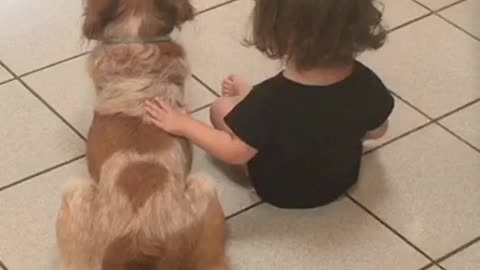 Little girl chatting with her dog