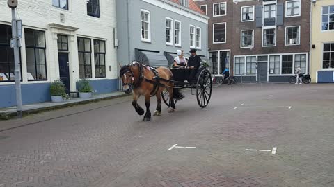 Dutch familiy ridding their horse on the streets of Middelburg
