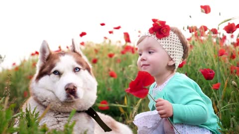 The dog Claims Baby As His Own (And It’s Perfect!)