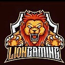 LIONGAMING12