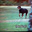 theBarking