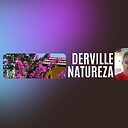 dervillesilva