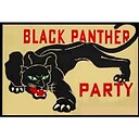 blackpantherparty