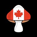 Canadian_Shroomer