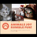 animalsjoy