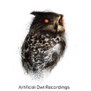 ArtificialOwlRecordings