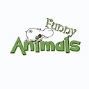 Animals_10